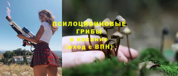 apvp Новодвинск
