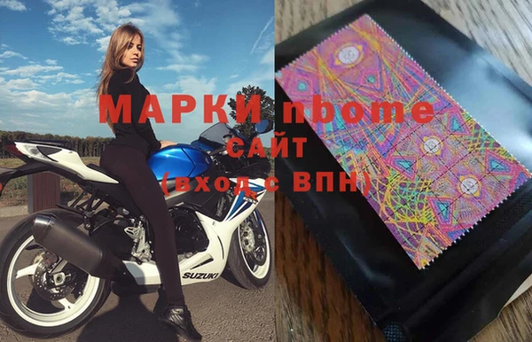 Альфа ПВП Новозыбков