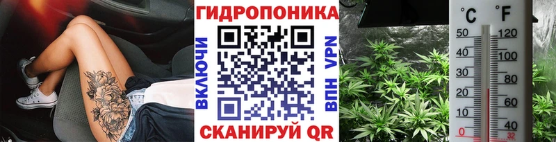 Купить  Канск  Канабис планчик 