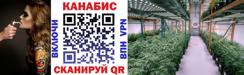 Бошки Шишки гибрид Канск